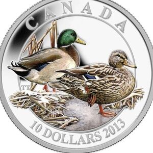 2013 RCM $10 Ducks of Canada: Mallard - Pure Silver Coin